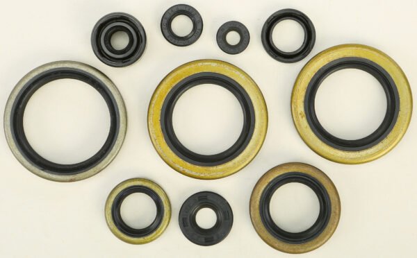 Oil Seal Kit