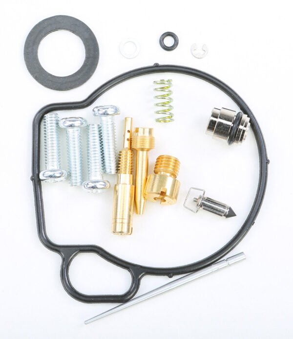 Carburetor Repair Kit
