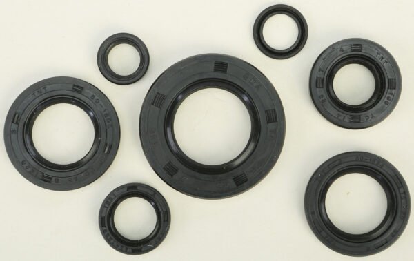 Oil Seal Kit