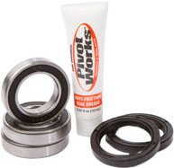 Wheel Bearing & Seal Kit