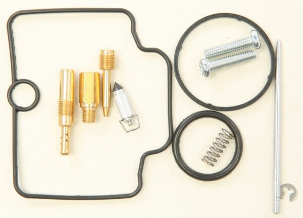 Carburetor Repair Kit