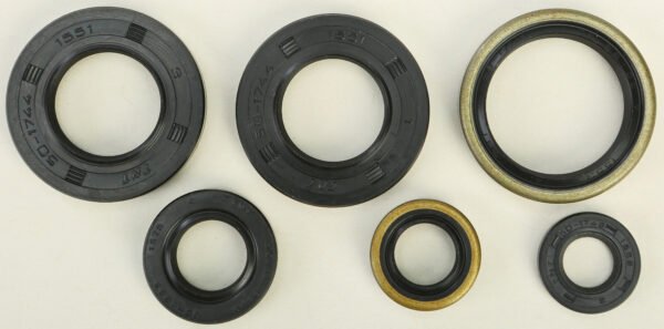 Oil Seal Kit