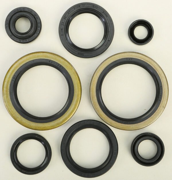 Oil Seal Kit