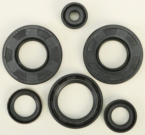 Oil Seal Kit
