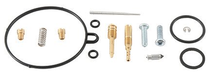 Carburetor Repair Kit