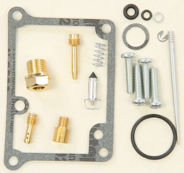 Carburetor Repair Kit