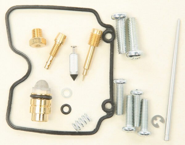 Carburetor Repair Kit
