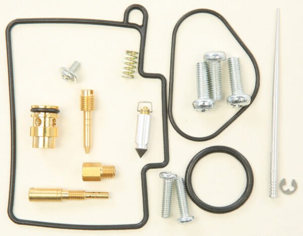 Carburetor Repair Kit