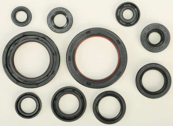 Oil Seal Kit