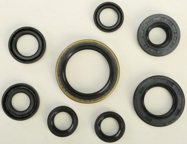 Oil Seal Kit