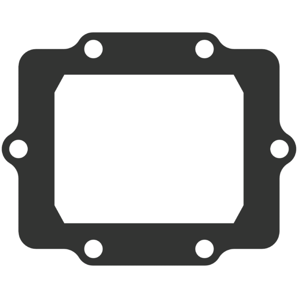 Vforce 3/4 Gasket