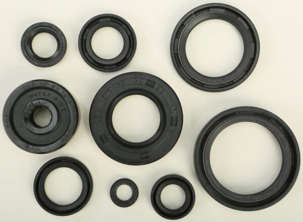 Oil Seal Kit