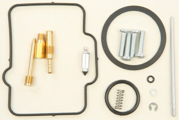 Carburetor Repair Kit