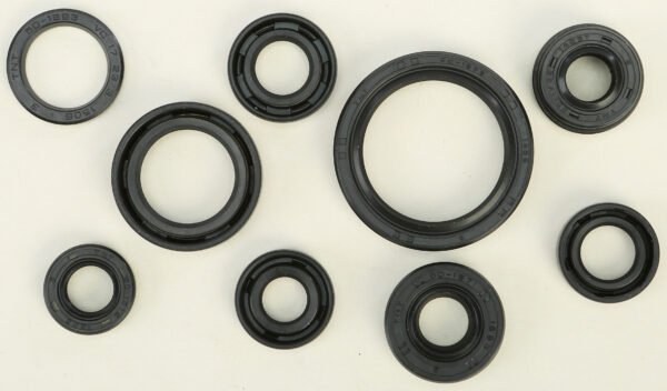 Oil Seal Kit