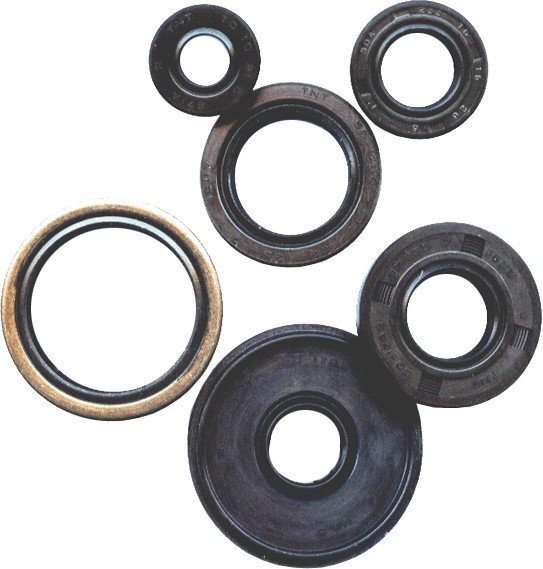 Oil Seal Kit