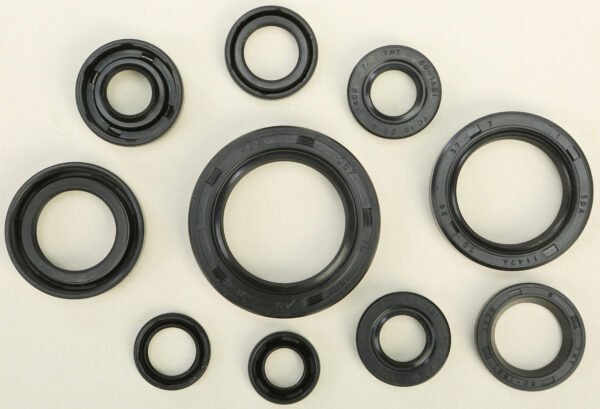 Oil Seal Kit