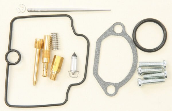 Carburetor Repair Kit