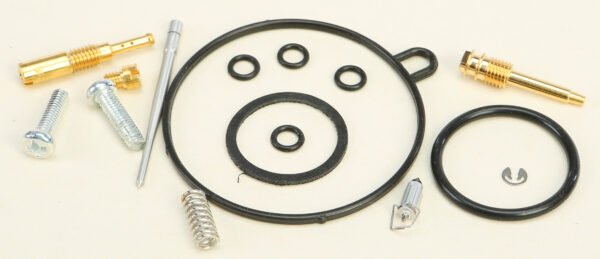 Carburetor Repair Kit