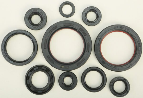 Oil Seal Kit