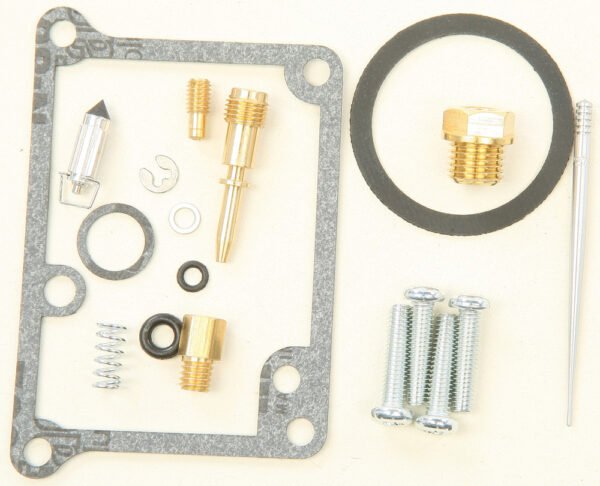 Carburetor Repair Kit