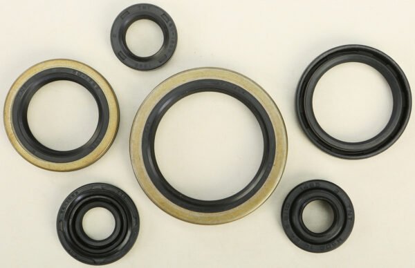 Oil Seal Kit