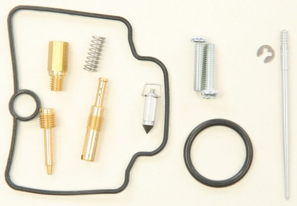 Carburetor Repair Kit