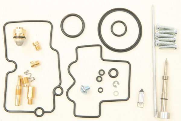 Carburetor Repair Kit