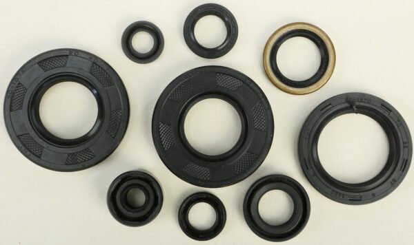Oil Seal Kit
