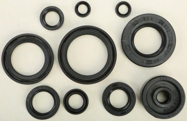 Oil Seal Kit
