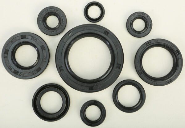 Oil Seal Kit