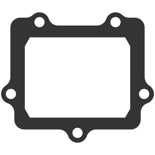 Vforce 3/4 Gasket