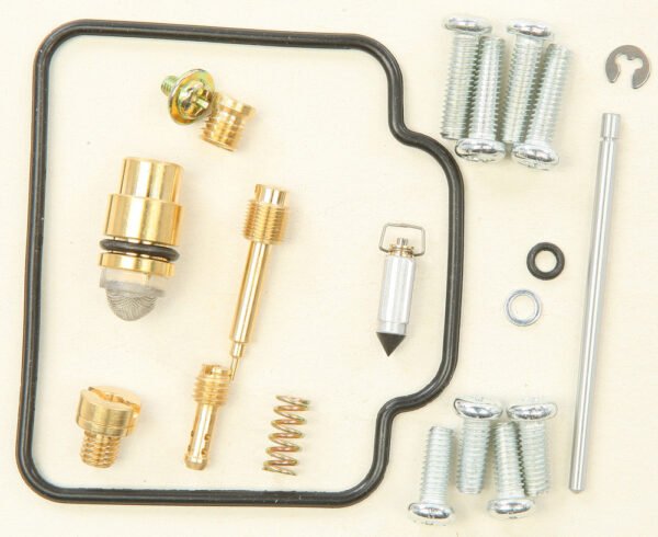 Carburetor Repair Kit