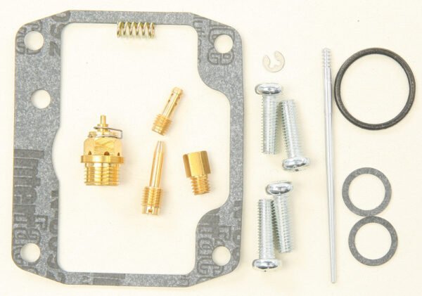 Carburetor Repair Kit