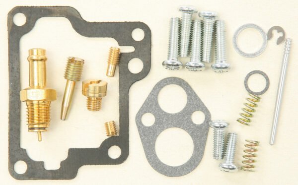 Carburetor Repair Kit