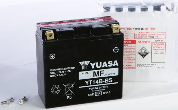AGM Maintenance Free Battery