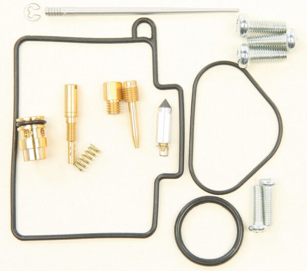 Carburetor Repair Kit
