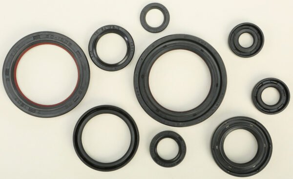 Oil Seal Kit
