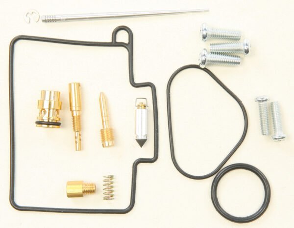 Carburetor Repair Kit