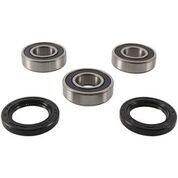 Wheel Bearing & Seal Kit