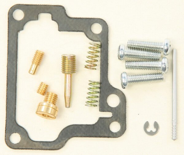 Carburetor Repair Kit