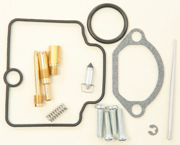 Carburetor Repair Kit