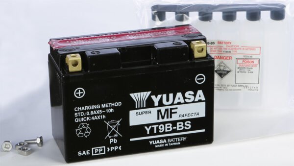 AGM Maintenance Free Battery