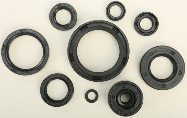Oil Seal Kit