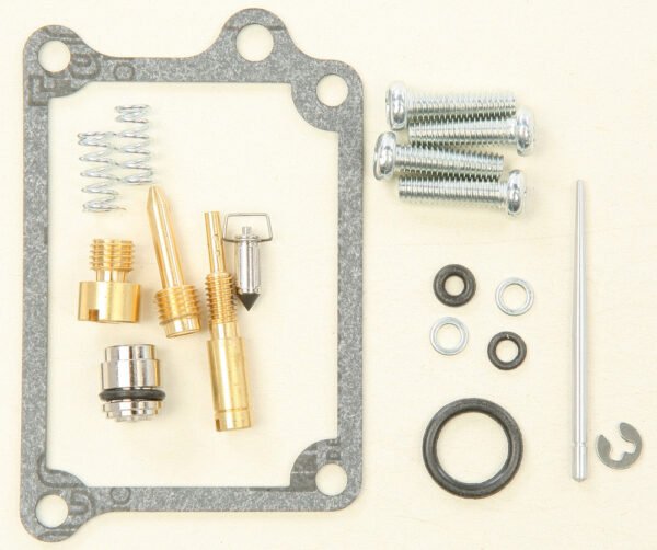 Carburetor Repair Kit