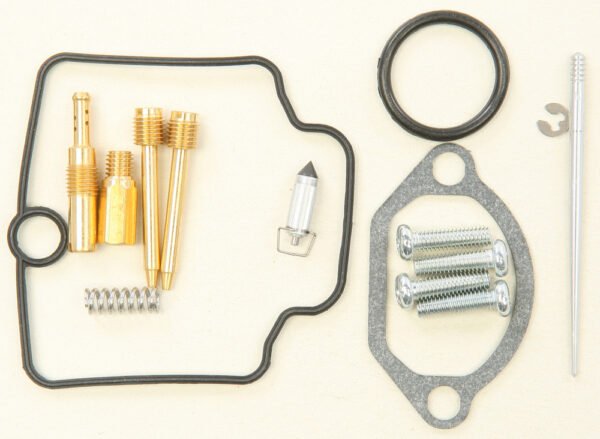 Carburetor Repair Kit