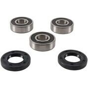 Wheel Bearing & Seal Kit