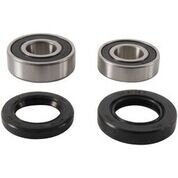 Wheel Bearing & Seal Kit