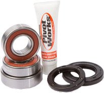 Wheel Bearing & Seal Kit