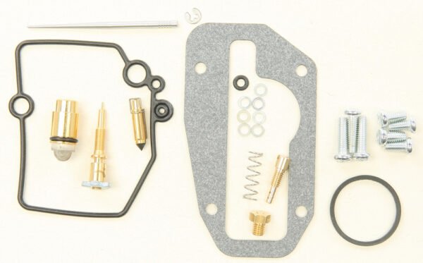 Carburetor Repair Kit