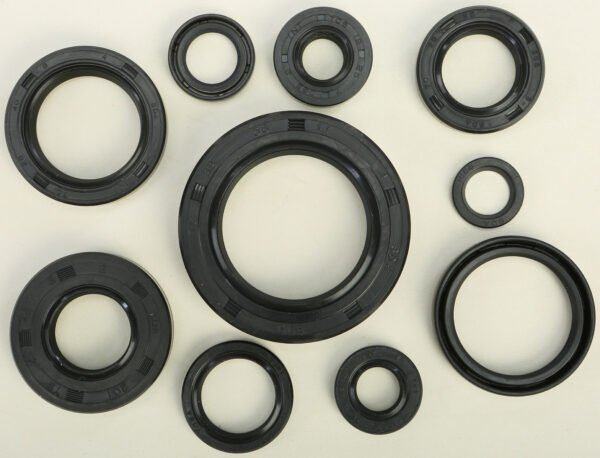 Oil Seal Kit